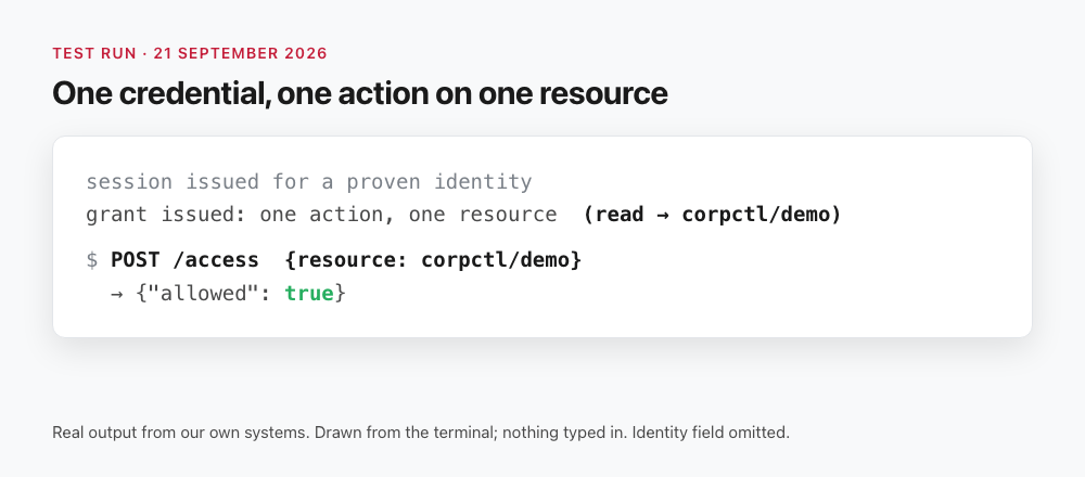 Terminal output: a grant for one read on one resource, and an access check on that resource returning allowed true